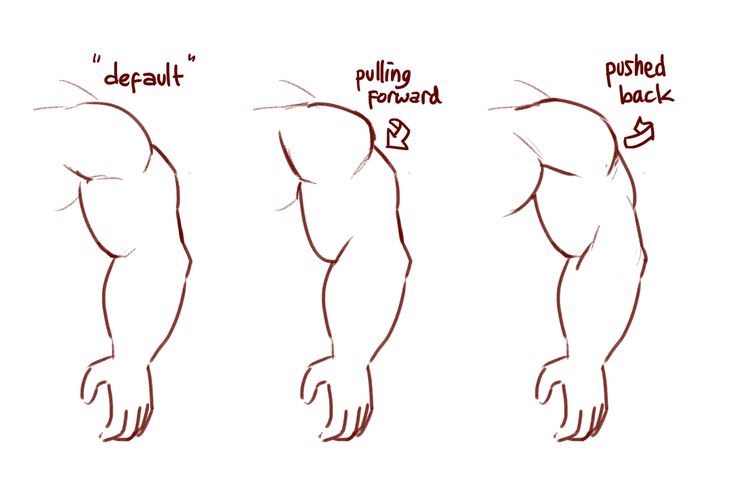 how to draw a muscular man's arm and shoulder