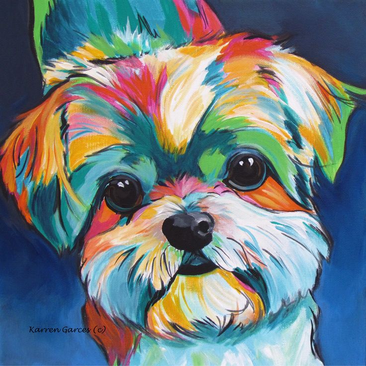 a painting of a small dog with multicolored fur on it's face