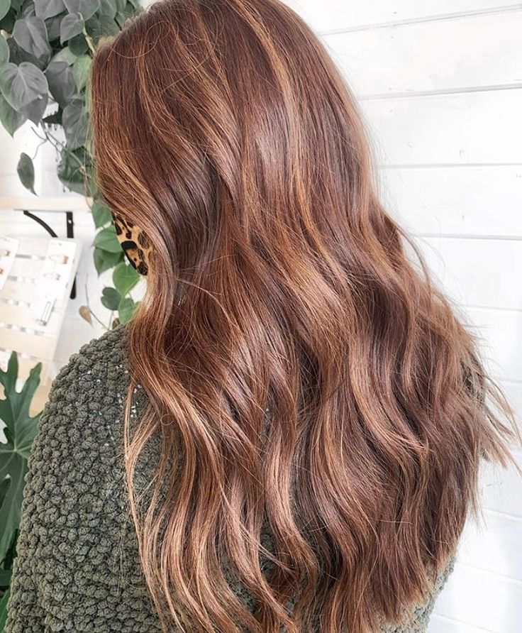 Red Blonde Brunette Balayage, Balayage, Subtle Balayage Auburn Hair, Mushroom Red Hair Color, Copper Gold Highlights On Brown Hair, Subtle Highlights For Auburn Hair, Copper Low Lights For Brown Hair, Light Brown Auburn Balayage, Brown Balayage Copper