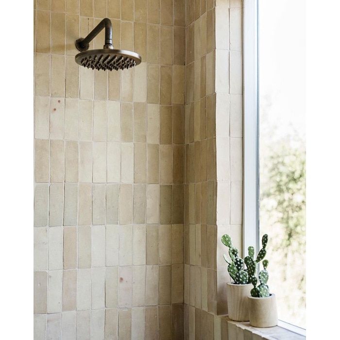 the shower head is next to a window with cactus plants in pots on the ledge