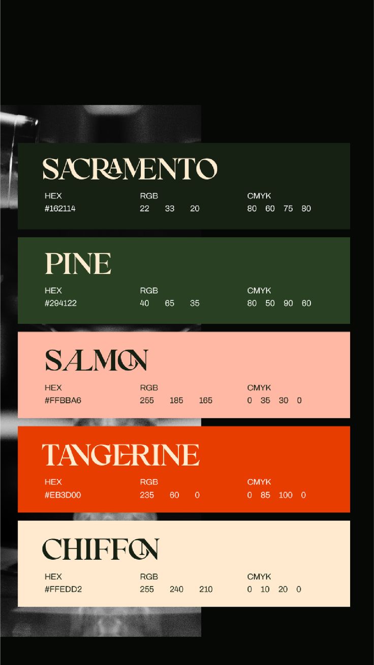 Green, pink, orange, ivory color palette for branding of speakeasy bar Bar Color Palette, Mises En Page Design Graphique, Visuell Identitet, Speakeasy Bar, Inspiration Logo Design, Pantone Colour Palettes, Color Design Inspiration, Hex Color Palette, Palette Design