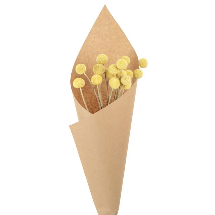 a bouquet of yellow flowers in a brown paper wrapper, on a white background