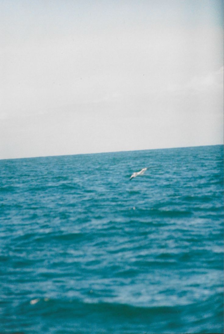 a bird flying over the ocean on a cloudy day