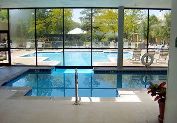 an indoor swimming pool with large windows and plants in the foreground, surrounded by lounge chairs