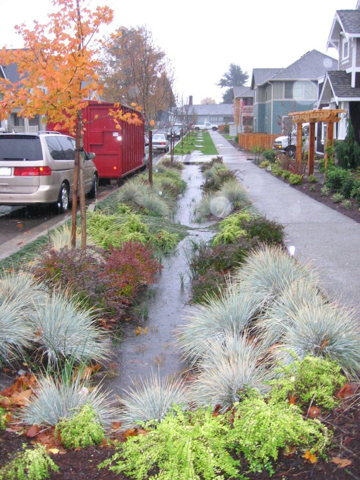 a small stream running through a residential area with lots of trees and plants in the foreground