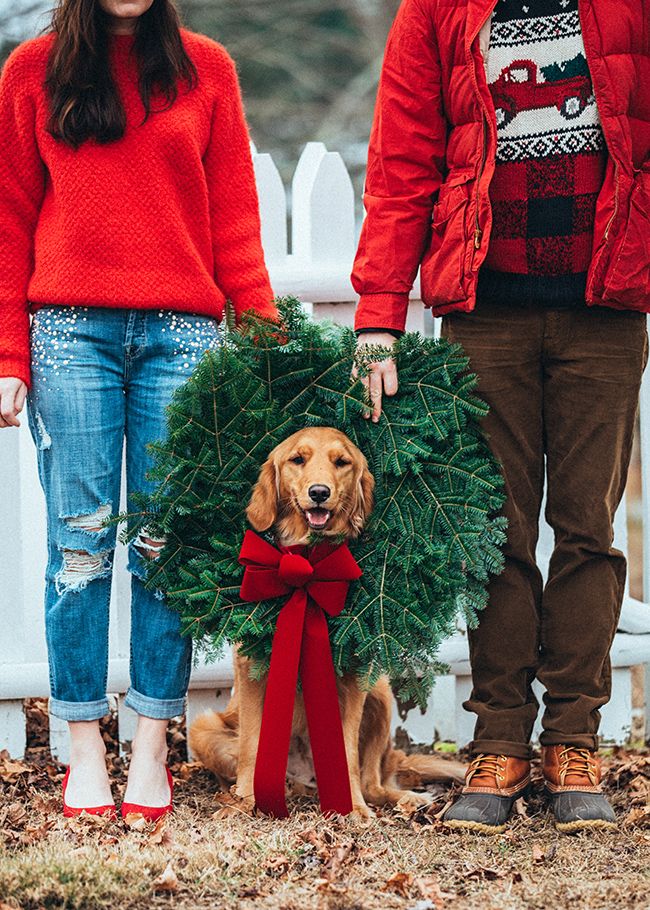 a man and woman standing next to a dog wearing a wreath