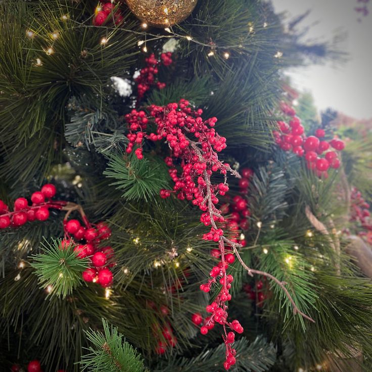 the christmas tree is decorated with red berries and gold bauble ornament