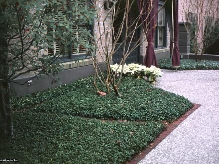 an outdoor area with bushes and flowers in the center, next to a brick walkway