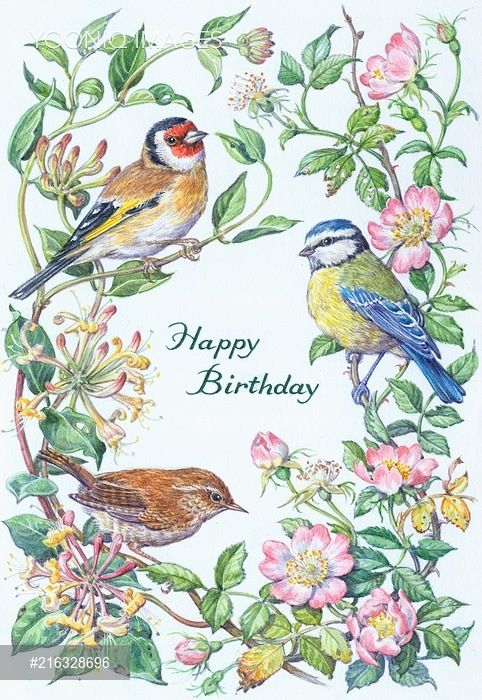 a birthday card with birds and flowers on it