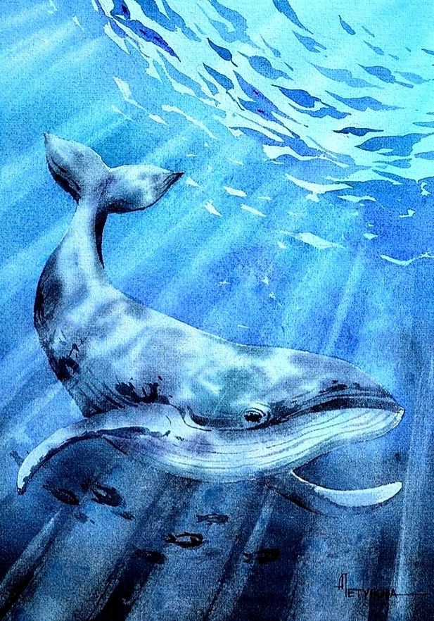 a drawing of a humpback whale swimming in the ocean with sunlight streaming through it