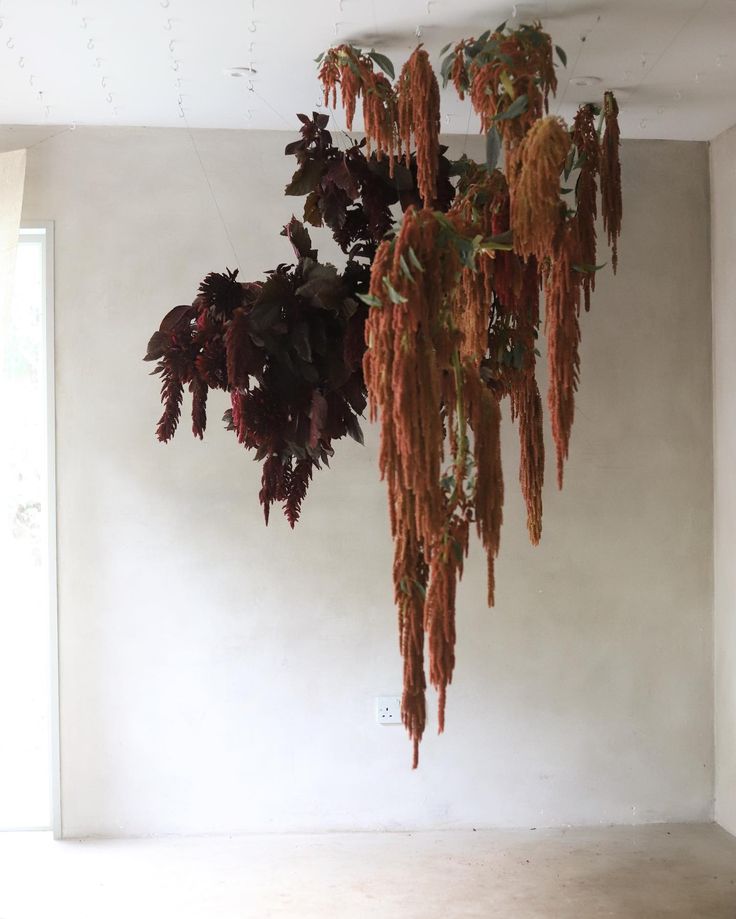 a plant hanging from the ceiling in an empty room