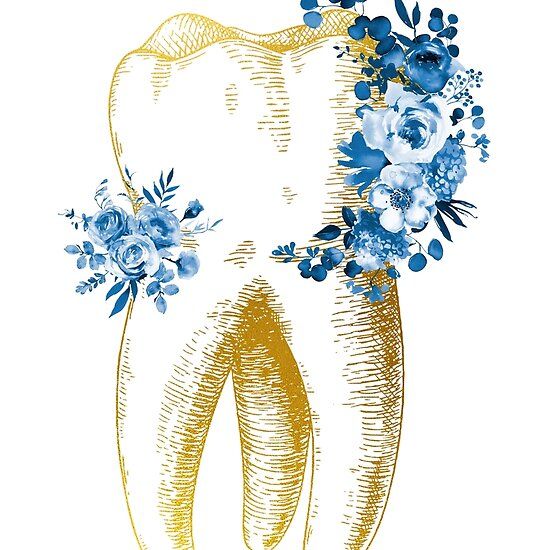 Human tooth Dental Illustration, Dental Wall Art, Dental Wallpaper, Dentist Art, Kedokteran Gigi, Teeth Art, Dentistry Student, Dental Office Decor, Human Teeth