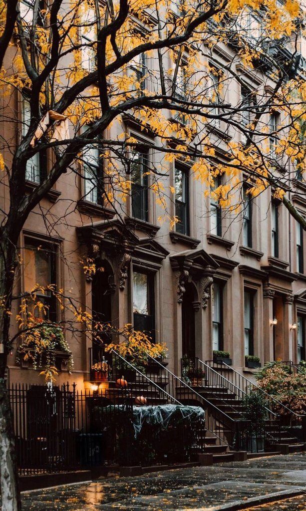 a row of browns houses with trees in the foreground and yellow leaves on the ground