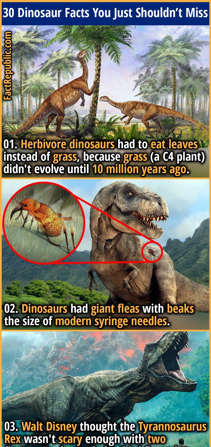 an image of dinosaurs in the wild with captioning information about them and what they mean