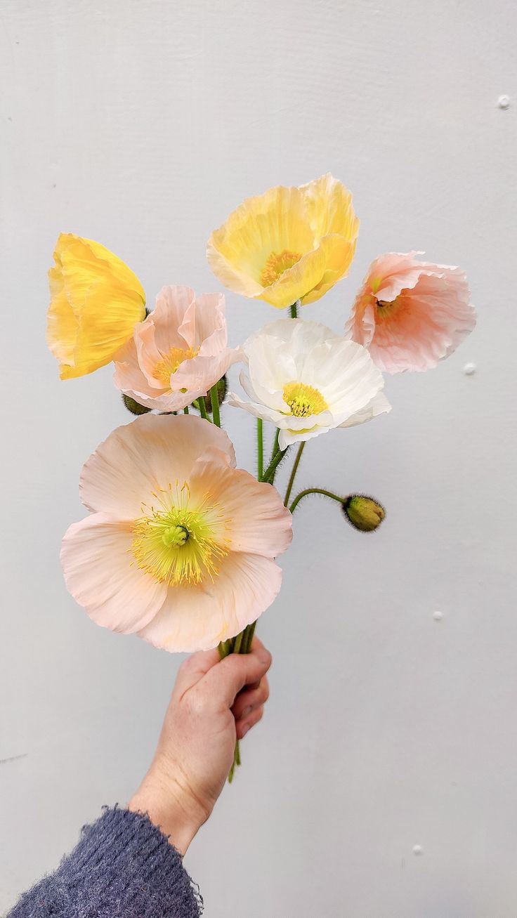 a person is holding flowers in their hand