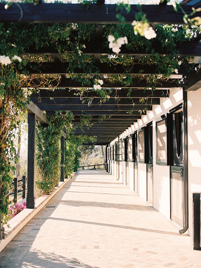 an outdoor covered walkway lined with white flowers