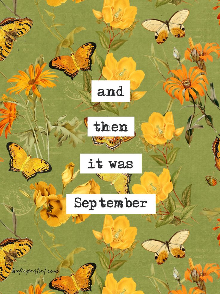 an image of butterflies and flowers with the words and then it was september