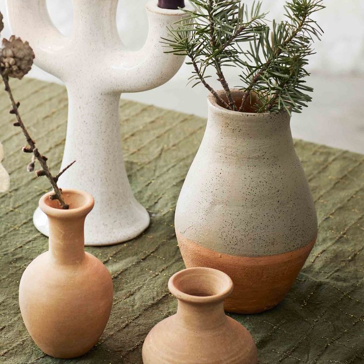 three vases with plants in them sitting on a table