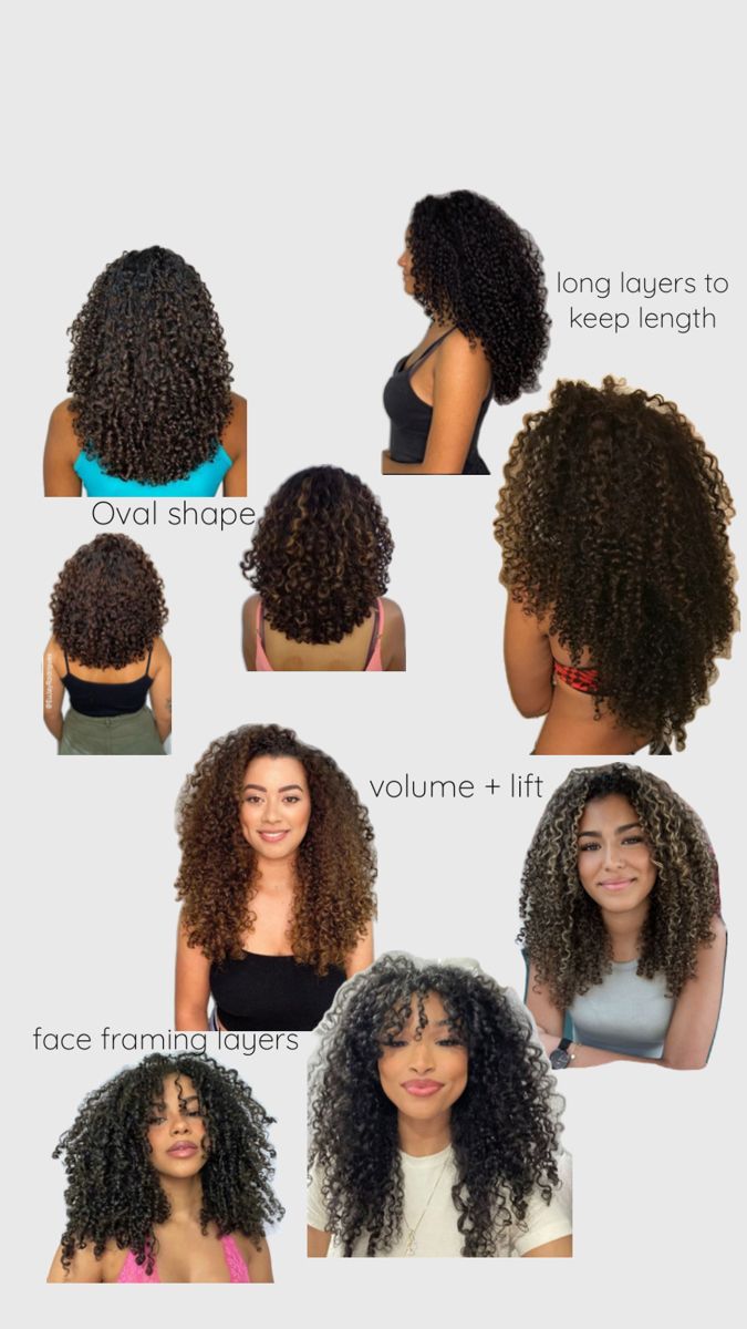 Framing Curly Haircut, 3 Curly Hair Type, 3b Curl Haircut, Oval Shape Curly Haircut, Haircuts To Get For Curly Hair, Triangle Haircut Curly Hair, Fine 3b Curly Haircut, Curly Haircut Inspo Natural Curls, Curly Hair Looks Outfit