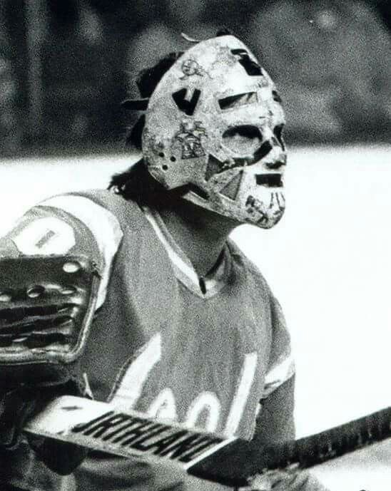 the goalie is wearing a mask and holding a hockey stick