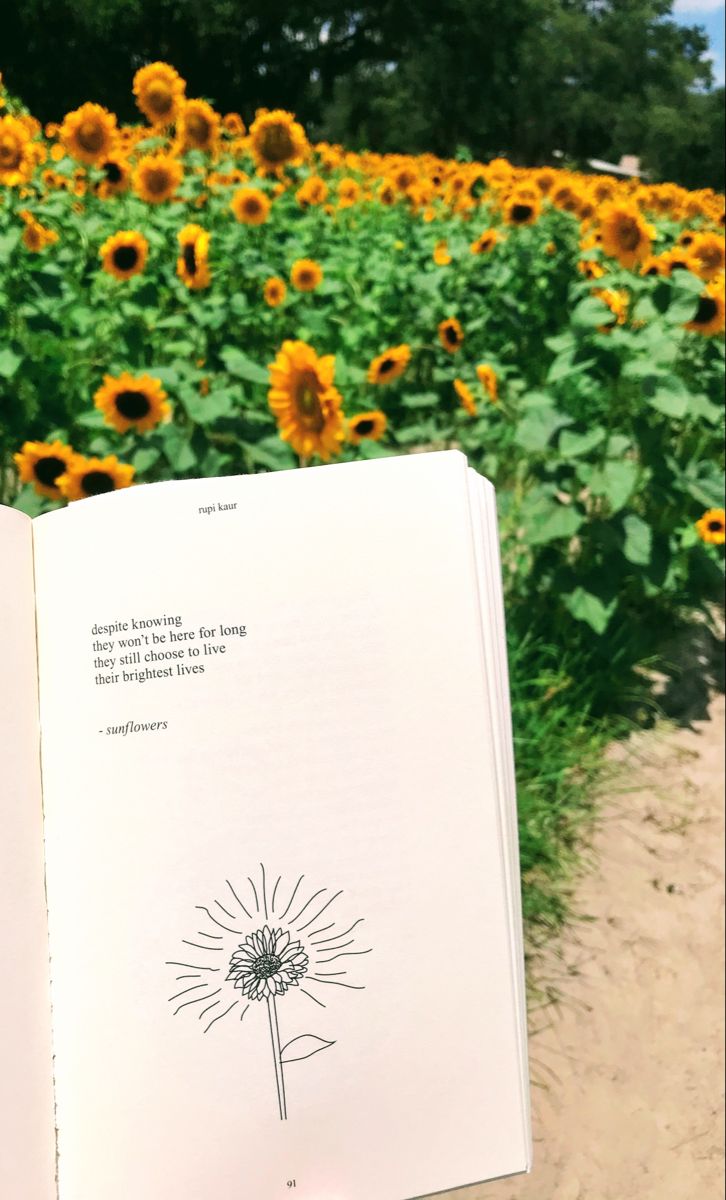 an open book sitting in front of a field of sunflowers