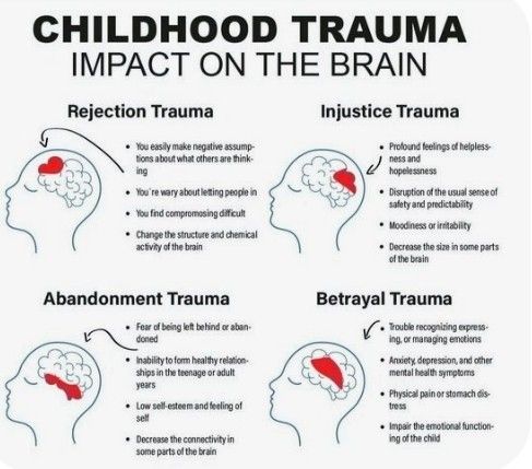 the effects of childhood on the brain and how to use it for children's development