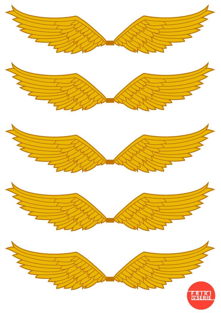 four golden wings with different shapes and sizes