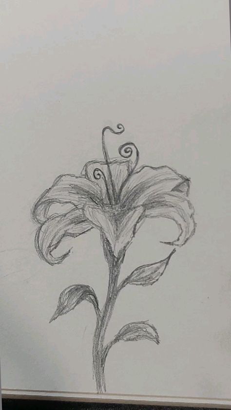 Landscape Art Pencil Sketch, Withering Flower Drawing, Pretty Sketches Aesthetic, Aphrodite Drawing Sketch, East Sketches, Drawing Sketches Flowers, Sketchbook Ideas Flowers, Flower Pencil Sketches, Flower Sketches Easy