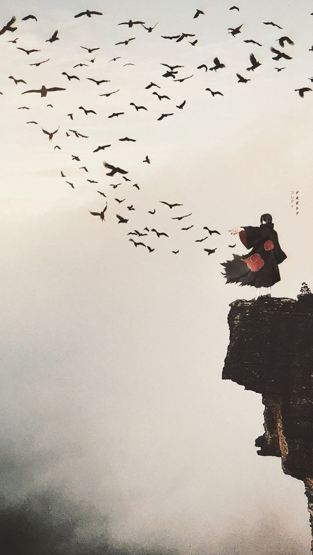 a flock of birds flying over the top of a cliff with a person standing on it