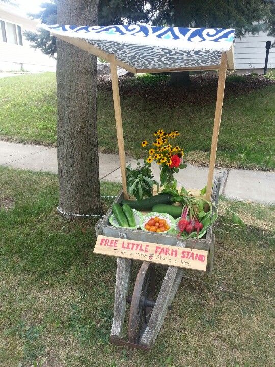 an outdoor stand with vegetables on it in the grass