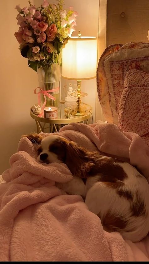 a brown and white dog laying on top of a bed under a pink blanket next to a lamp