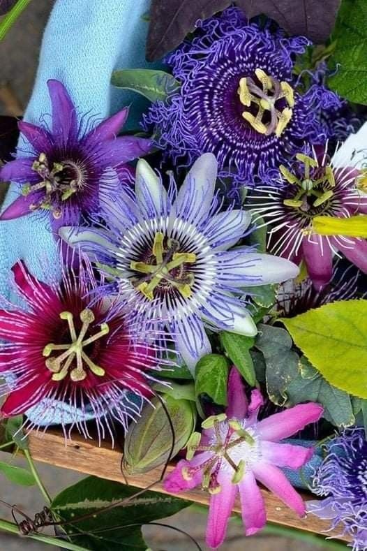 a basket filled with lots of purple flowers