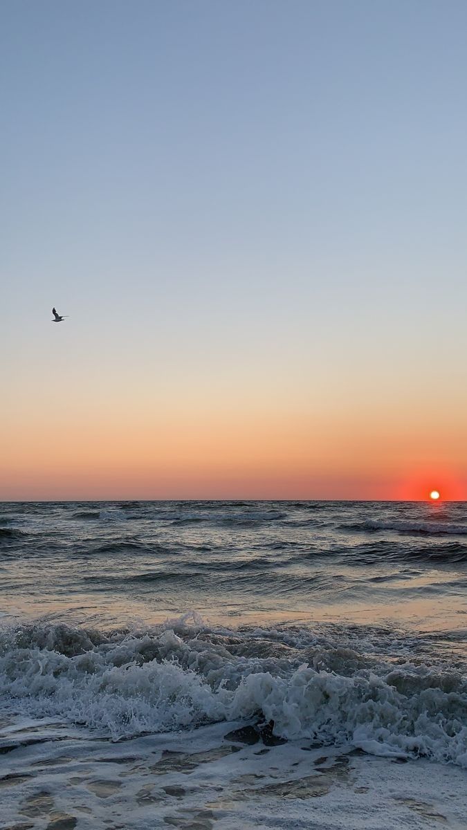 a bird flying over the ocean at sunset