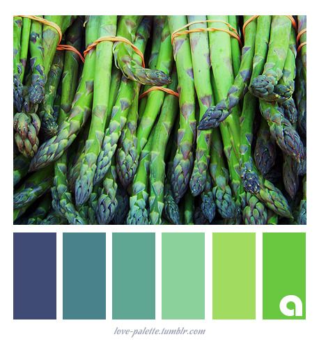 green asparagus are stacked up in rows with blue and green color palettes