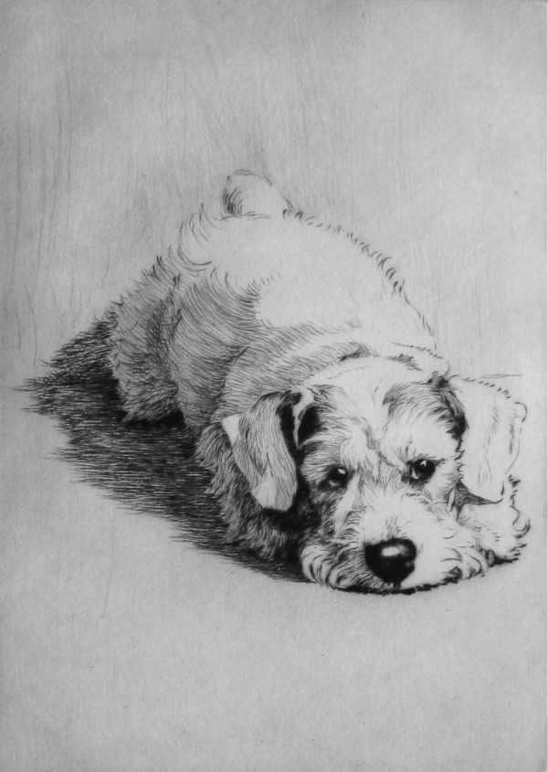 Dog Sketch, 강아지 그림, Dog Artwork, White Drawing, Dessin Adorable, Dog Illustration, Animal Sketches, Black And White Drawing, Arte Animal