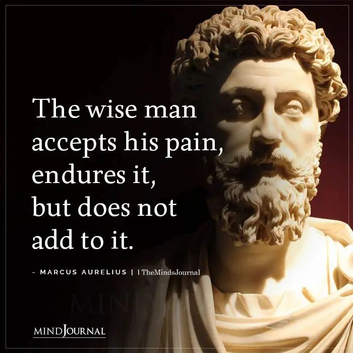 the wise man accepts his pain, requires it, but does not add to it