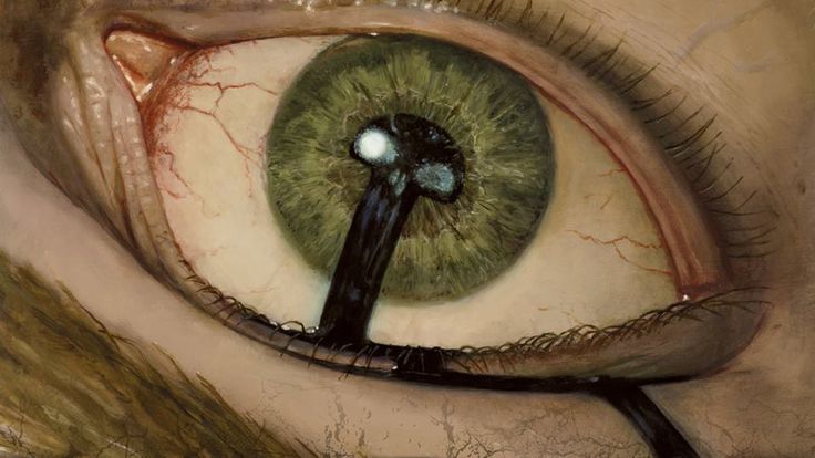 an eye with the iris partially open