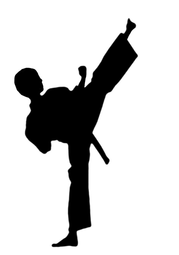 the silhouette of a man in karate stance with his arm up and one leg raised