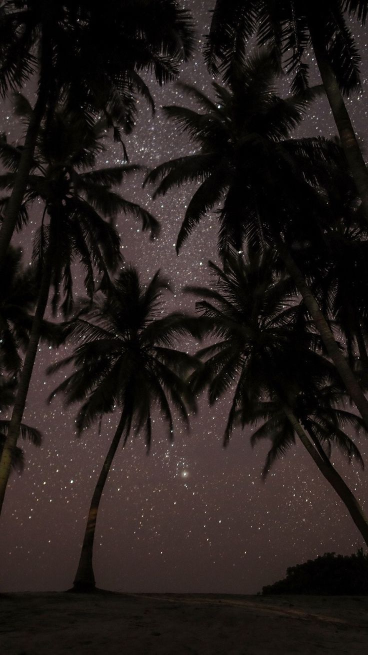 the night sky is filled with stars and palm trees in front of an ocean shore