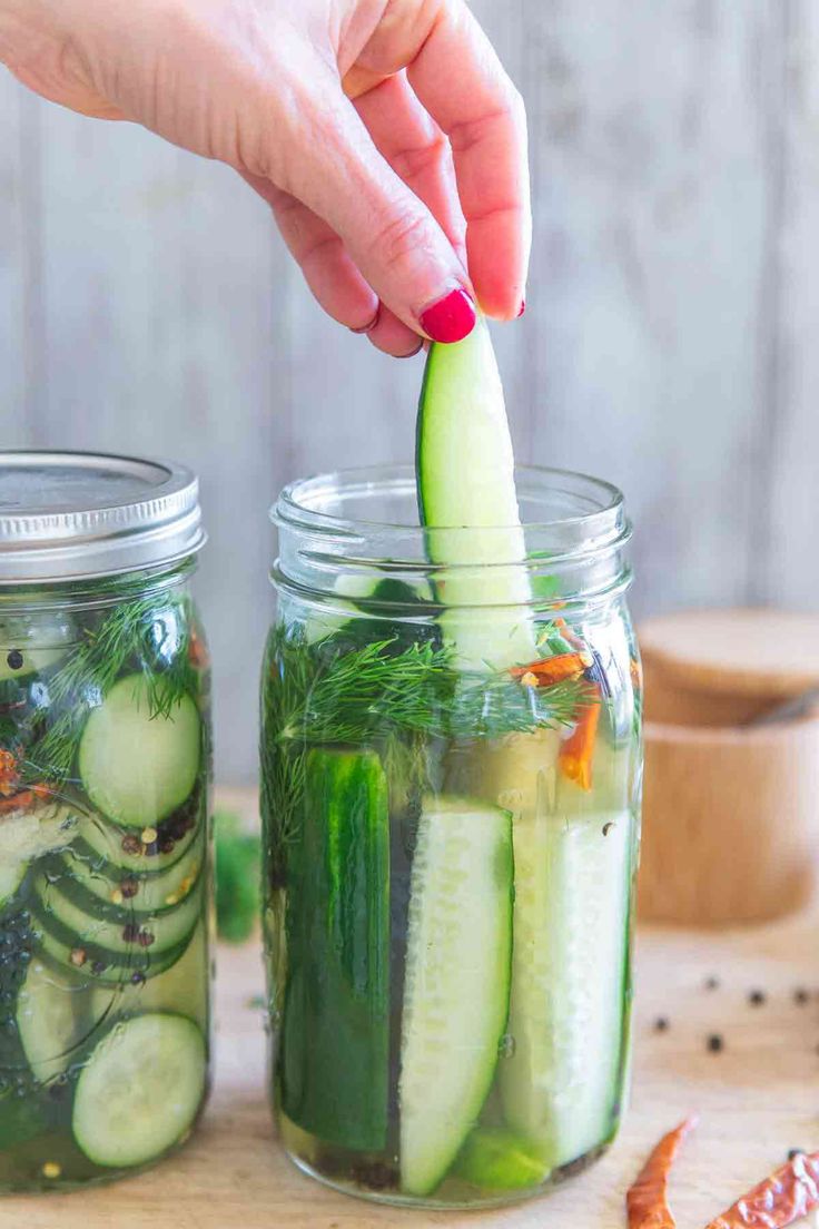 Easy refrigerator garlic dill pickles with or without dried chilis for spice are an easy homemade pickle recipe with no canning necessary! made 8/6/19 Dill Pickle Recipe No Canning, Garlic Dill Pickle Recipe, Spicy Dill Pickles, Pickle Cucumbers, Canning Pickles Recipe, Refrigerator Pickles Dill, Garlic Dill Pickles, Homemade Pickles Dill, Pickle Recipes Homemade