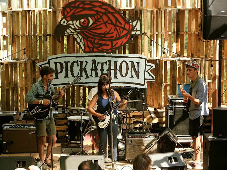 people are playing music on stage at the pickathon's festival in front of a wooden wall