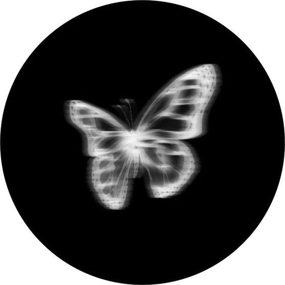 a black and white photo of a butterfly in the dark with light coming from it's wings