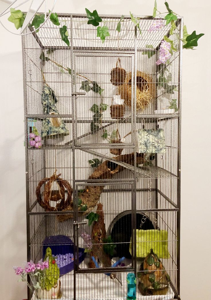 a bird cage filled with lots of birds and other things on top of a table