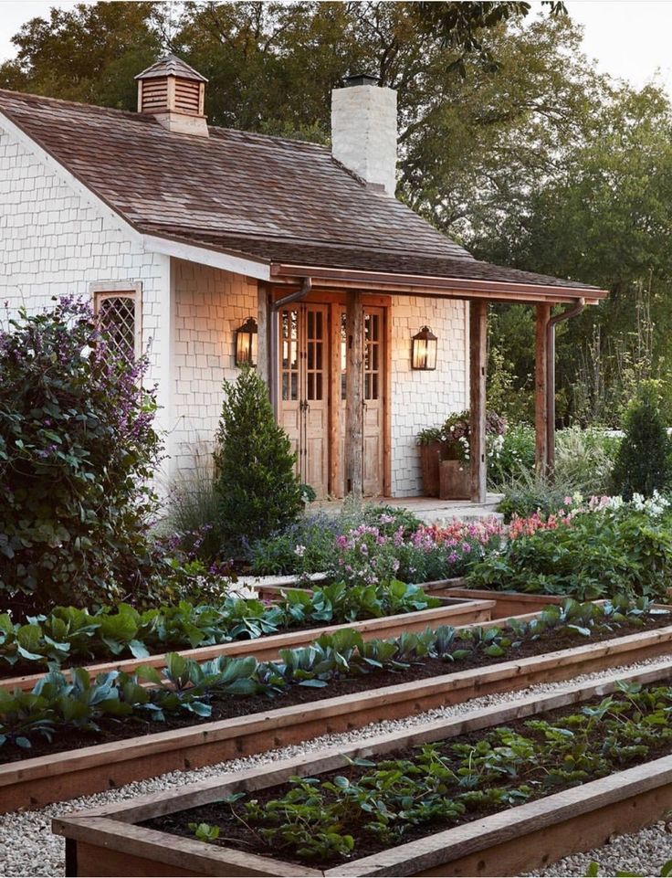 a small white house surrounded by lots of plants