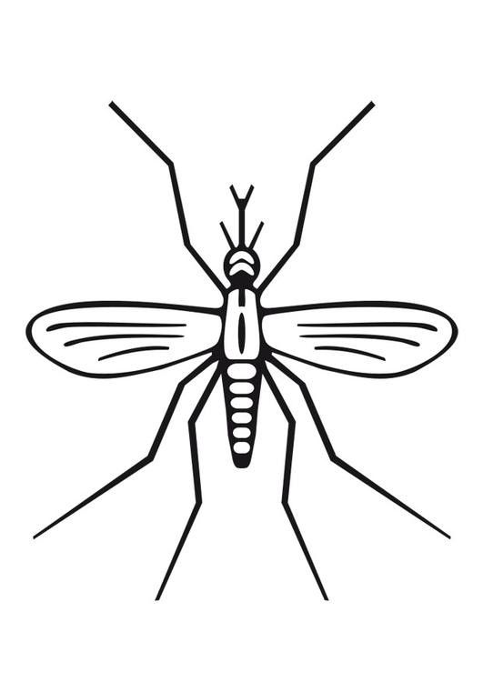 a mosquito that is drawn in black and white