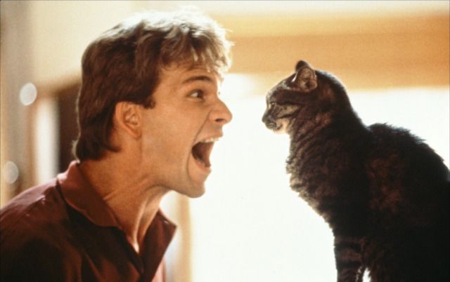 a man yelling at a cat with his mouth open