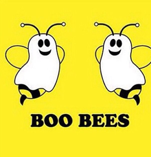 two bees with pink ribbon on their backs and the words boobees written in black