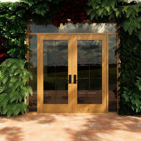 a wooden door surrounded by green plants in front of a building