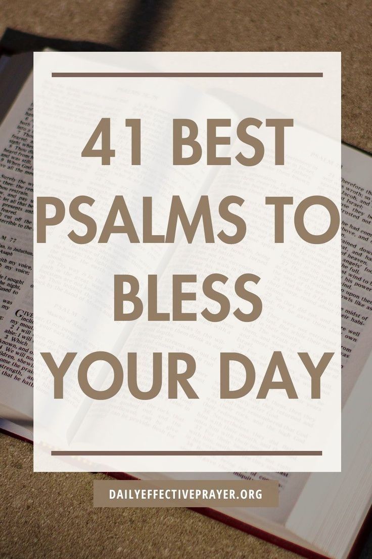 Immerse yourself in the beauty of the Psalms. Explore the most beautiful Psalms in the Bible, filled with poetic expression and divine inspiration. Learn more at DailyEffectivePrayer.org. Book Of Psalms Scriptures, Verses From Psalms, Psalms Prayers, Psalms Scriptures, Psalms Meaning, Beautiful Psalms, Psalm Verses, Bible Verse Psalms, Verses In The Bible