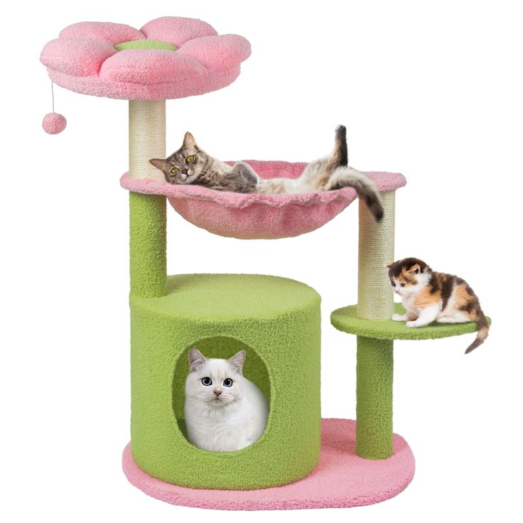 two cats are laying on top of the cat tree and one is lying down in it